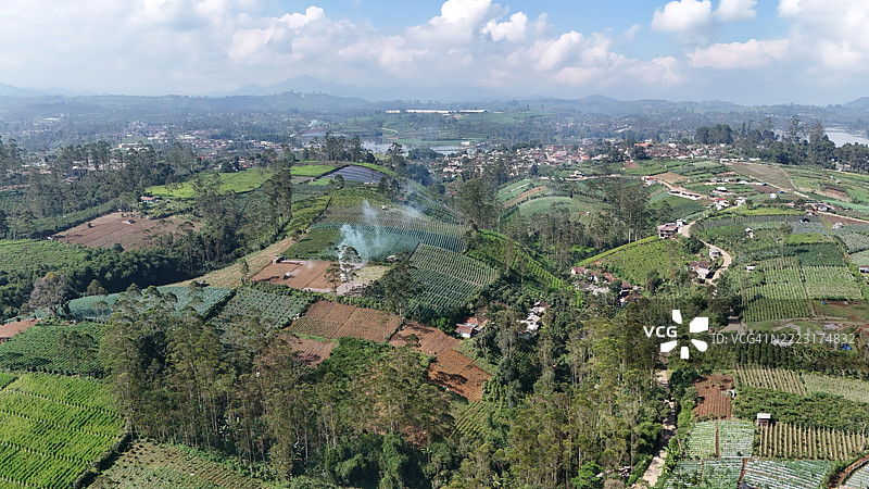 西爪哇印尼潘加伦甘茶园的自然美景。图片素材