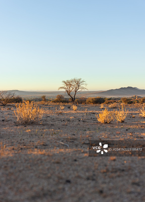 纳米比亚，沙漠，非洲，日出，日落图片素材