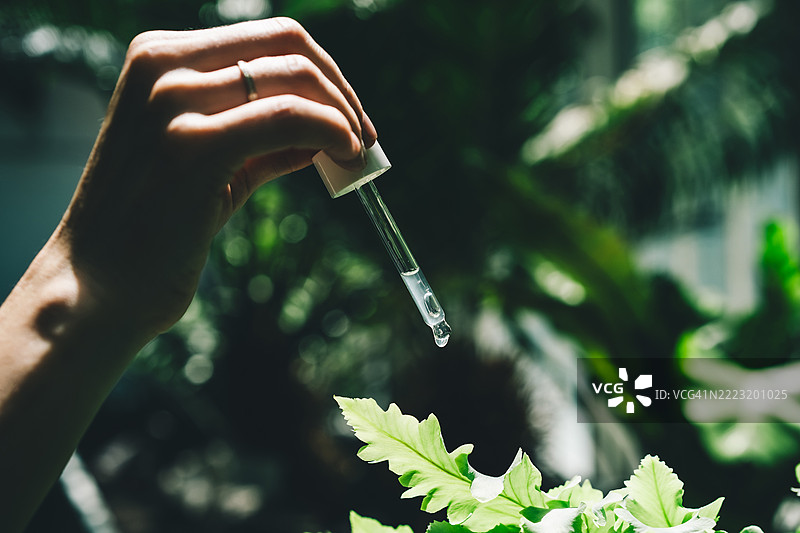 手握玻璃滴管和棕色玻璃瓶，背景是明亮的蕨类植物。图片素材