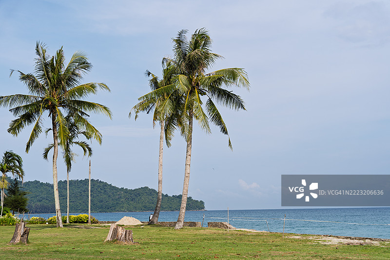 热带海滩场景，棕榈树与蓝天图片素材