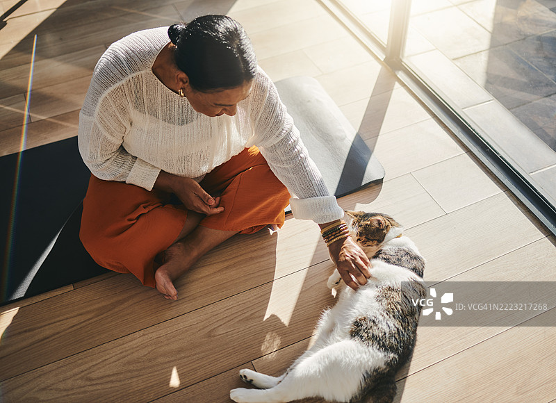 阳光洒在木地板上，女人与猫咪悠闲地相处图片素材