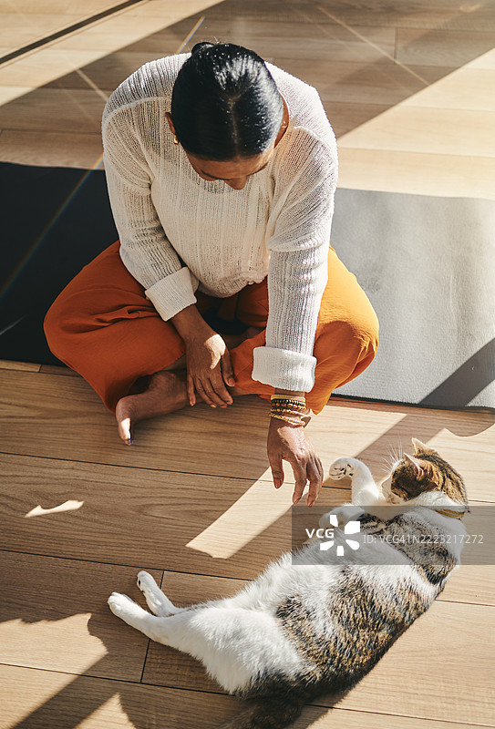 阳光洒在木地板上，女人与猫咪悠闲地相处图片素材