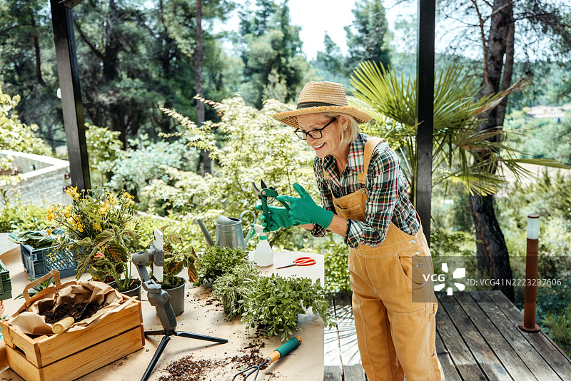 后院视频博客：成熟的女性谈论花卉护理图片素材