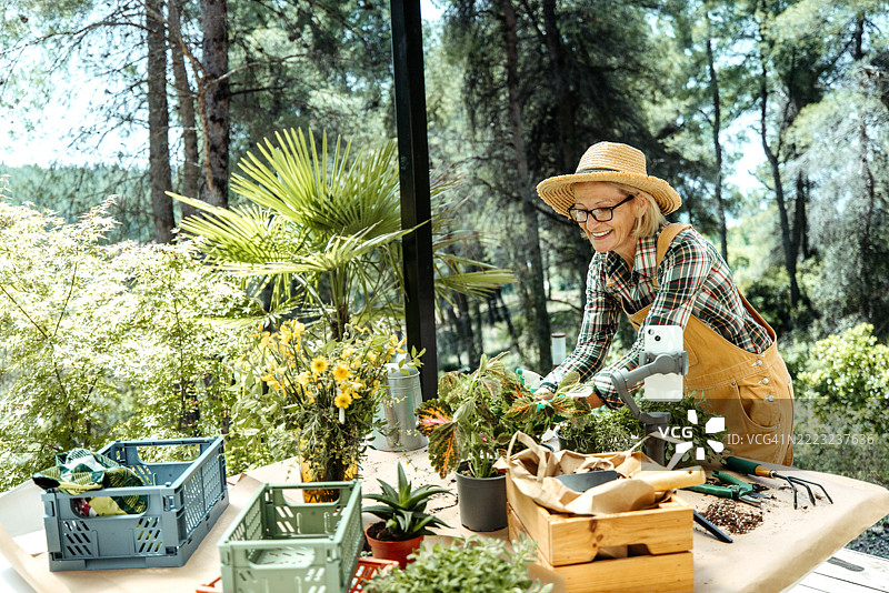 女性在休闲的后院环境中进行园艺视频博客图片素材
