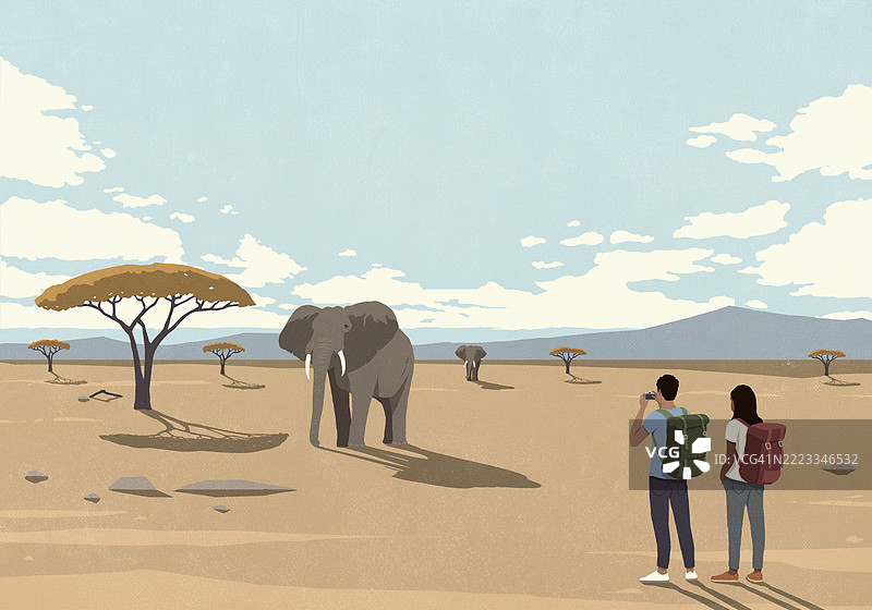 情侣在沙漠中观看大象，享受野生动物园假期图片素材
