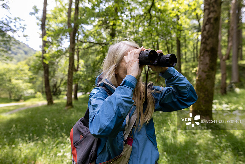 警惕的目光图片素材
