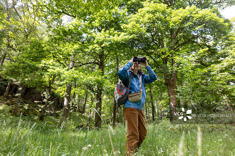 捕捉栖息鸟者图片素材