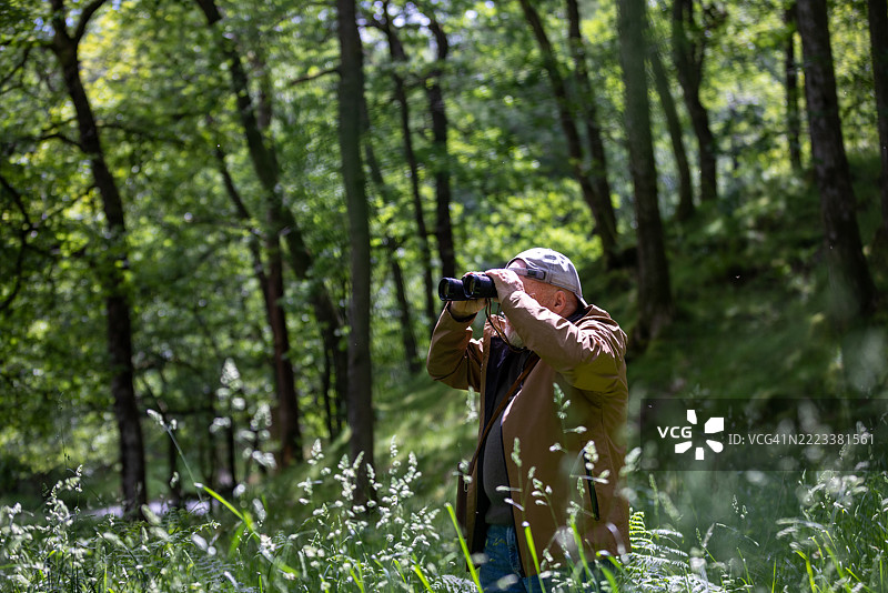 在野外的耐心图片素材