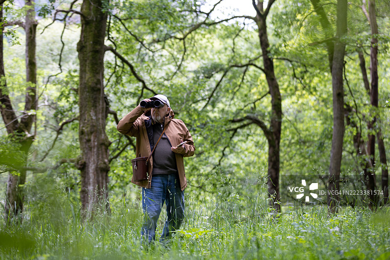 在荒野中的宁静守望图片素材