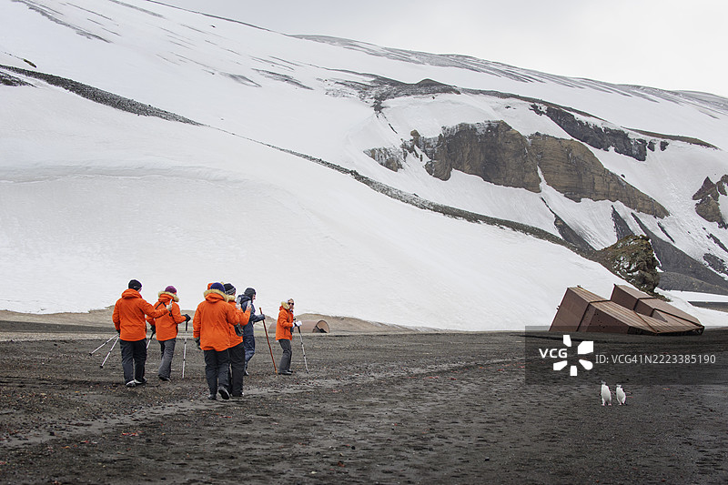 在南极洲的欺骗岛上与尖嘴企鹅一起游览图片素材