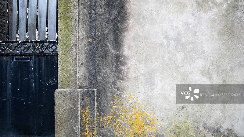 灰色混凝土墙的特写，墙上长有苔藓，旁边是一扇旧黑色金属门。粗糙的纹理。阳光照射。自然色彩和风化效果。葡萄牙波尔图。16x9格式。图片素材