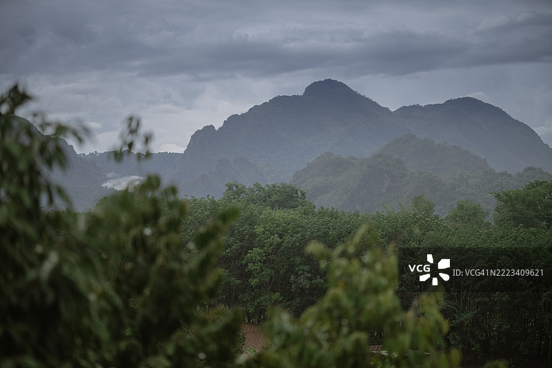 美丽的榴莲树干和高山农业农田风景图片素材
