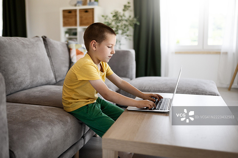 可爱男孩在沙发上放松，使用笔记本电脑图片素材