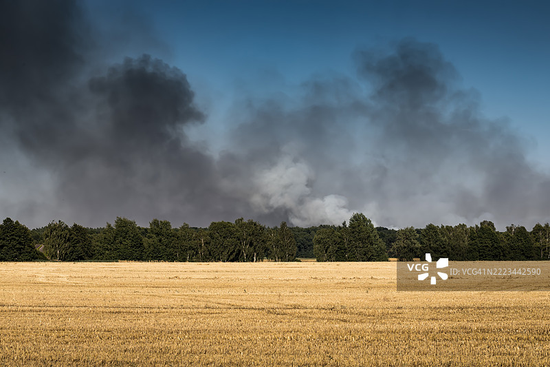 森林大火伴随着巨大的烟雾云图片素材