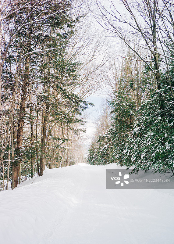 被雪覆盖的小路图片素材