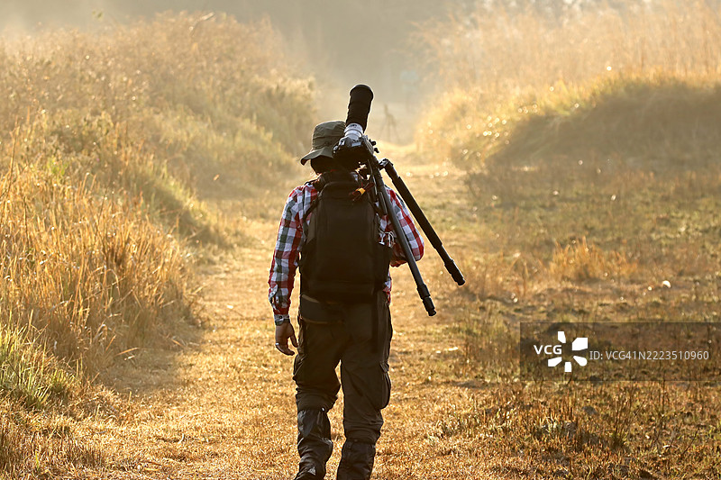 摄影师的探险。一位野生动物摄影师在金色草原的泥土小径上背着大型长焦镜头和三脚架。图片素材
