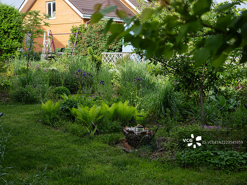 郁郁葱葱的春季花园，装饰性蕨类植物、鸢尾花、草坪和果树交织在自然风光中。背景中的砖房和秋千架为生机勃勃、层次丰富的植物增添了温馨的郊区氛围。图片素材