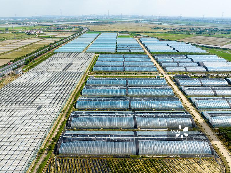 农村山区蔬菜温室的航拍摄影图片素材