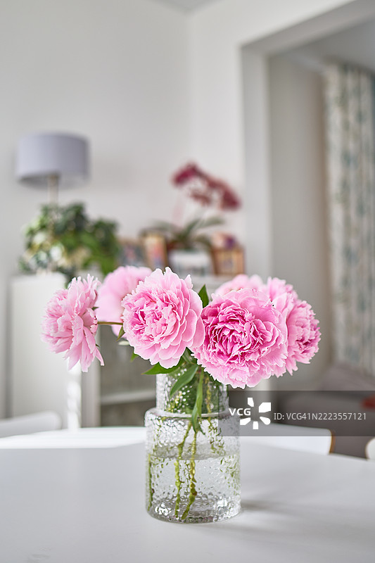 优雅的粉色牡丹花在质感花瓶中装饰明亮的家居室内图片素材