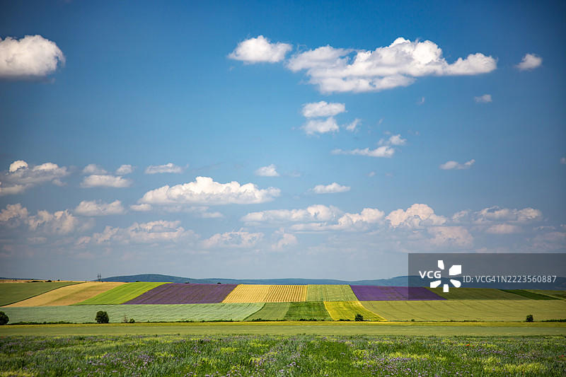 匈牙利巴科尼山南侧的多彩田野图片素材