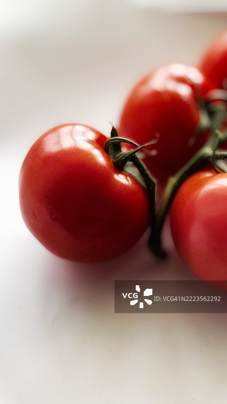 直立的葡萄番茄在强烈的定向光照下形成锐利的阴影，强调了细节。图片素材