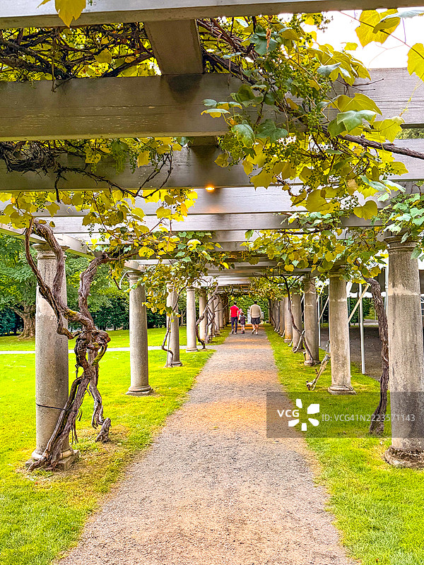 人们在莱诺克斯的坦格伍德附近的柱子旁散步图片素材