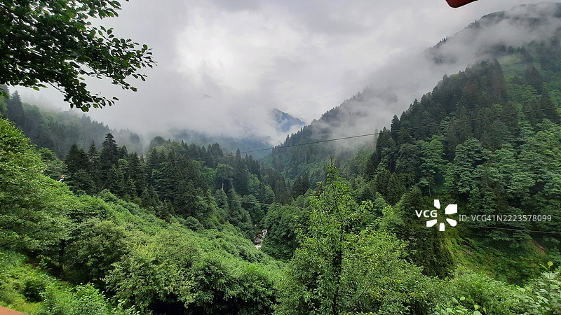 土耳其里泽的森林与天空的美丽景色图片素材