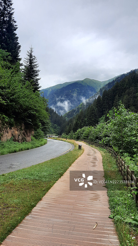 土耳其特拉布宗树木间的道路风景与天空相映成趣图片素材