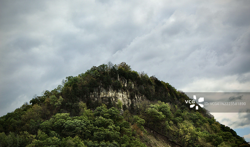 低角度视图的树木与天空，威斯康星州普雷里杜申，美国图片素材