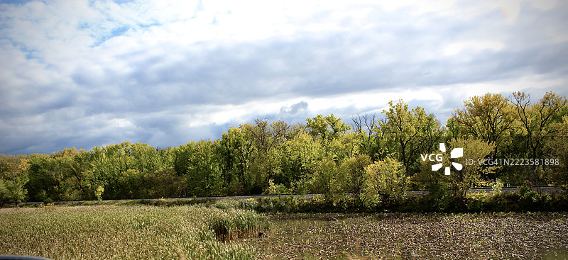 威斯康星州普雷里杜申的树木与天空的美丽景色图片素材