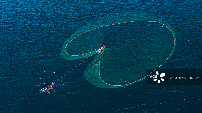 越南富安省大兰海的凤尾鱼捕捞季节图片素材