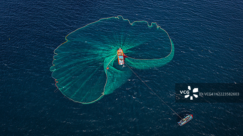 越南富安省大兰海的凤尾鱼捕捞季节图片素材