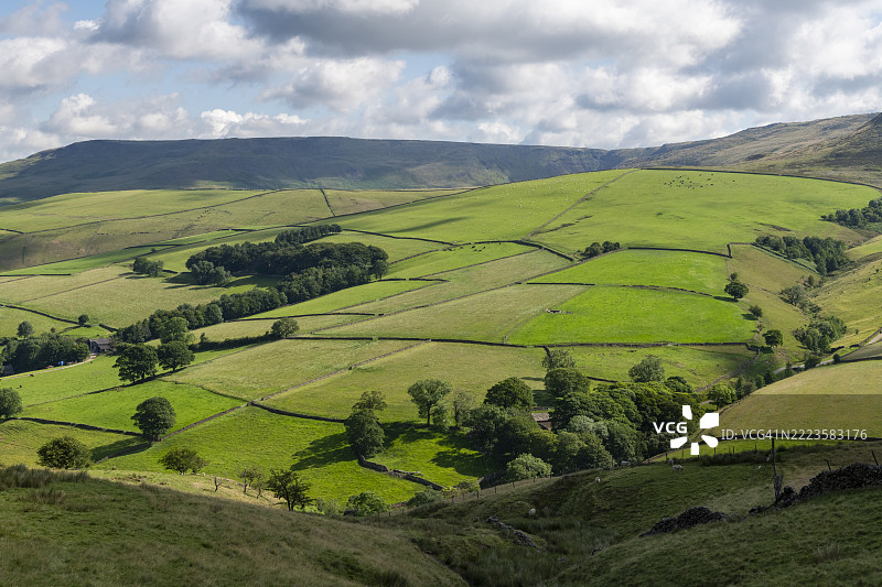 德比郡海田附近郁郁葱葱的田野拼接图图片素材