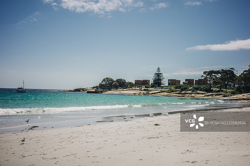 澳大利亚塔斯马尼亚州比切诺的海滩景观图片素材