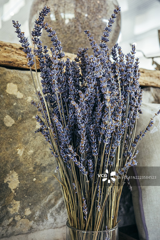 紫色薰衣草花束在花瓶中的家居装饰图片素材