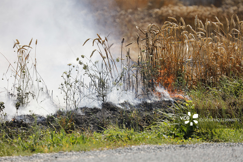 因干旱引发的火灾，法国塞纳-马恩省图片素材