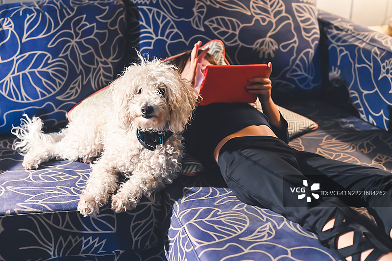 孩子在家庭客厅的沙发上放松，使用平板电脑，身边有她的宠物狗陪伴。图片素材
