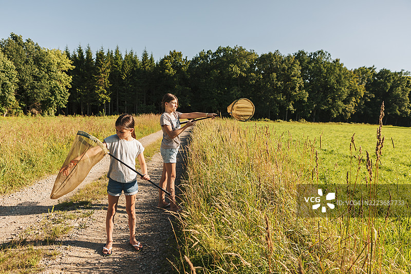 两个孩子在夏天的乡村用蝴蝶网捕捉昆虫。图片素材