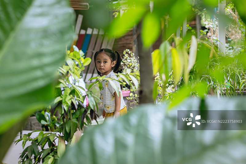 好奇的小亚洲女孩扎着双马尾，在传统的后院花园里玩耍。图片素材