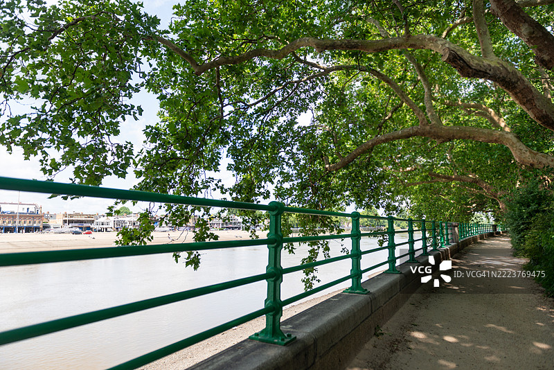 伦敦，英国，泰晤士河畔的主教公园，沿河的风景步道和骑行道被大型悬铃木树荫覆盖。图片素材