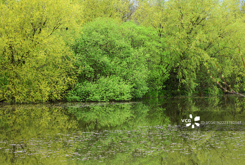 水面的倒影图片素材