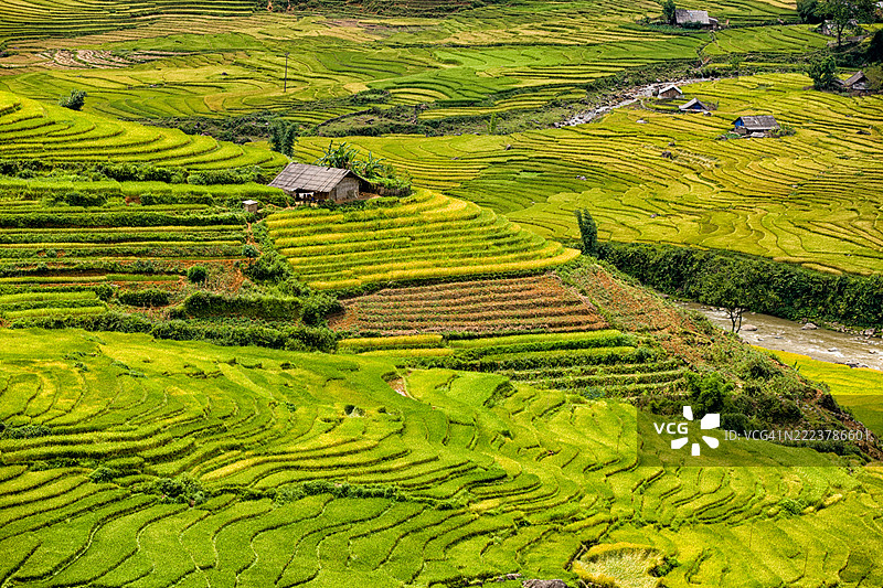 越南北部萨帕镇附近的稻田图片素材