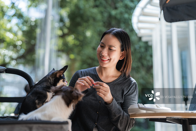 女人在婴儿车里给她的狗喂食图片素材