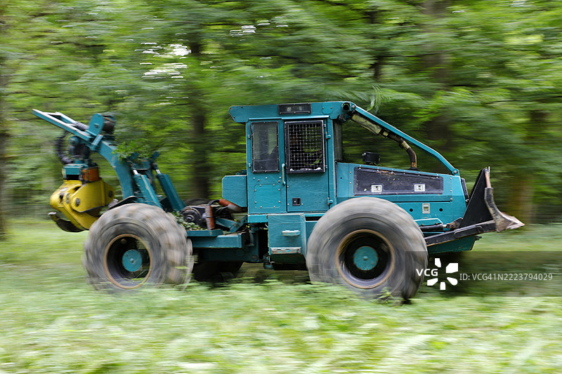 法国塞纳-马恩的树木砍伐图片素材