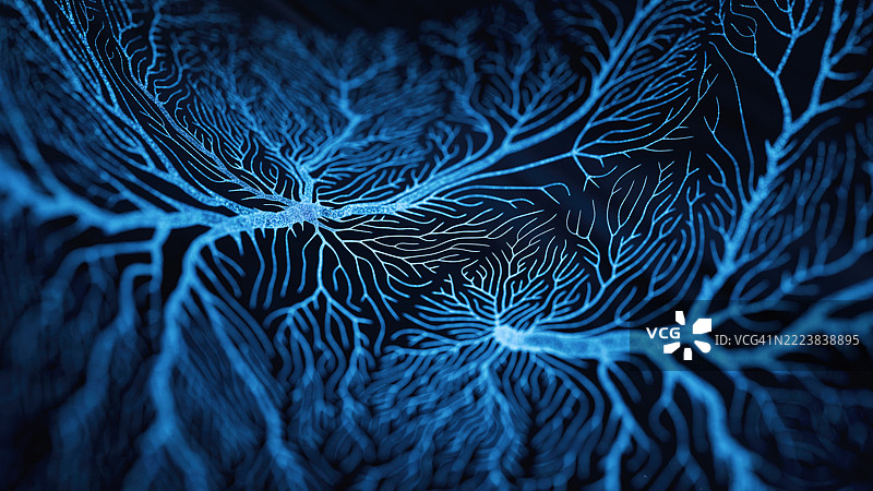 神经系统疾病图片素材