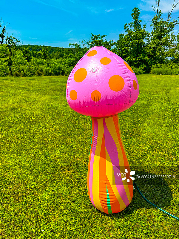 草坪上充满水的充气蘑菇，克雷里维尔图片素材