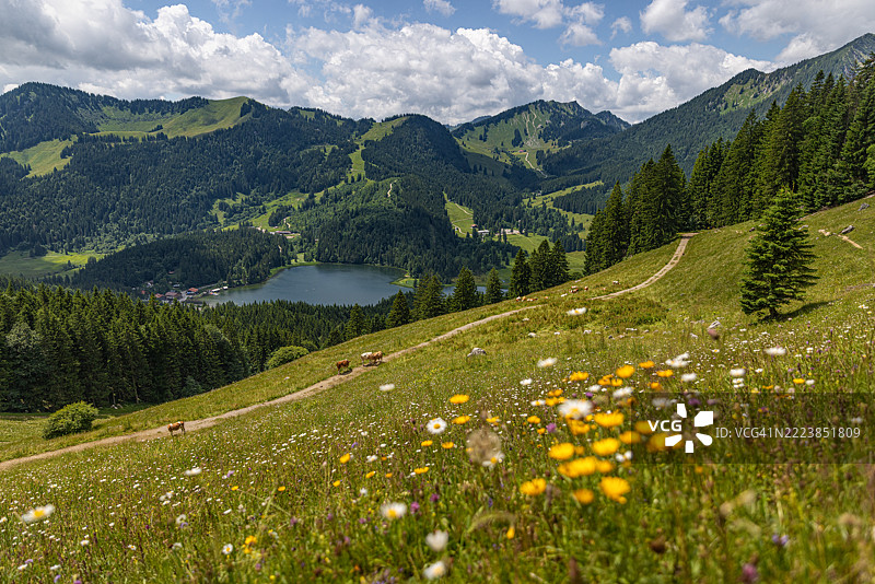 山间牧场俯瞰斯皮茨湖。巴伐利亚州，德国，施利尔湖。图片素材