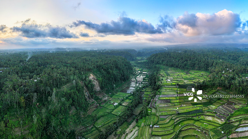 令人惊叹的印度尼西亚巴厘岛空中视角,展示了生机勃勃的稻田、郁郁葱葱的风景和沐浴在温暖日出光辉中的传统村庄。体验这个热带天堂的宁静之美和丰富文化。图片素材