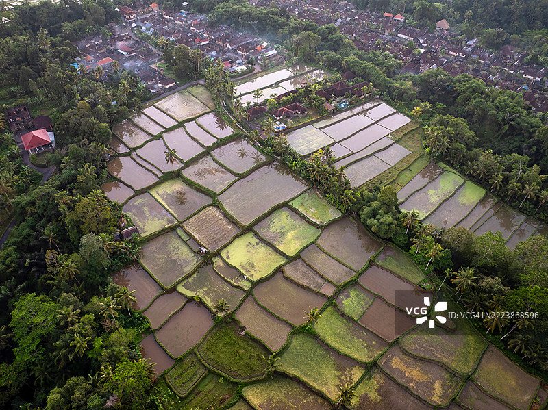 令人惊叹的印度尼西亚巴厘岛空中视角,展示了生机勃勃的稻田、郁郁葱葱的风景和沐浴在温暖日出光辉中的传统村庄。体验这个热带天堂的宁静之美和丰富文化。图片素材