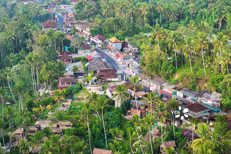 令人惊叹的印度尼西亚巴厘岛空中视角，展示了生机勃勃的稻田、郁郁葱葱的风景和沐浴在温暖日出光辉中的传统村庄。体验这个热带天堂的宁静之美和丰富文化。图片素材